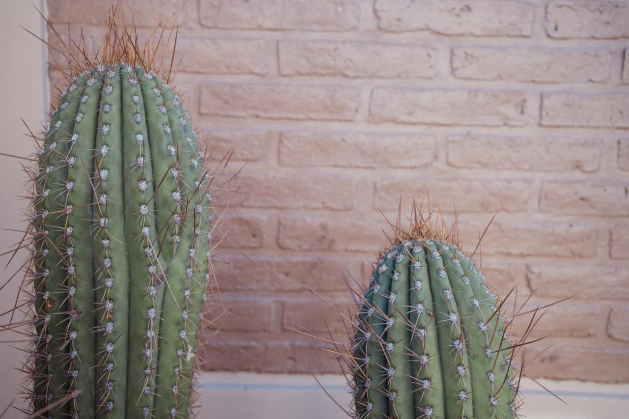 Luna De Cafayate Hotel Boutique エクステリア 写真