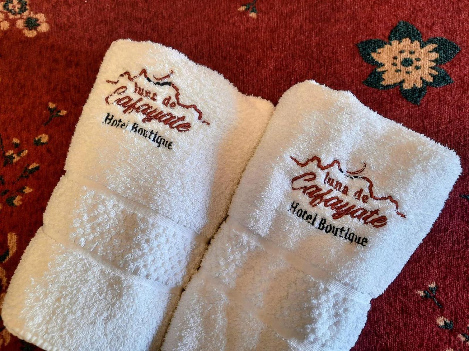 Luna De Cafayate Hotel Boutique エクステリア 写真