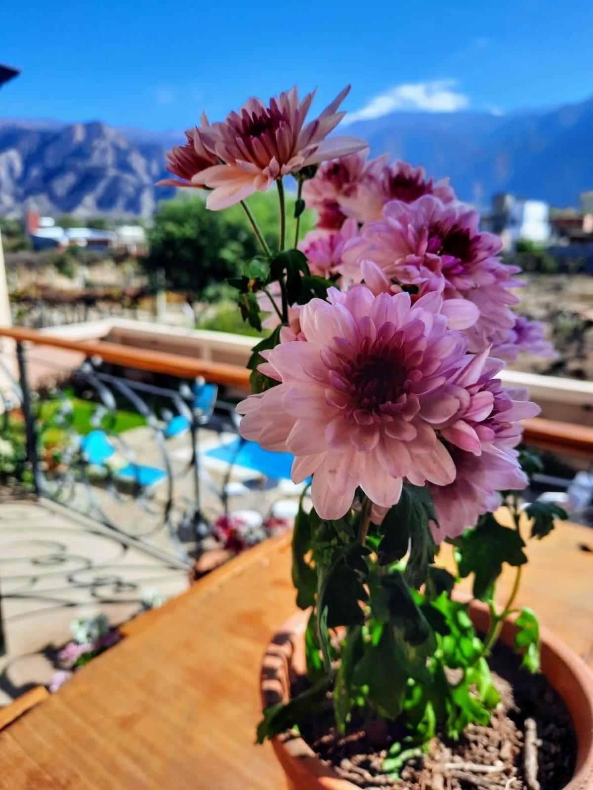 Luna De Cafayate Hotel Boutique エクステリア 写真